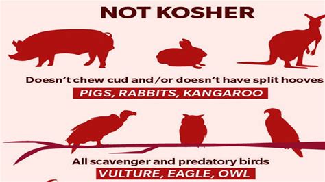 What fruit is not kosher?