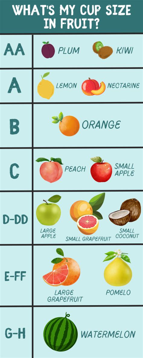 What fruit size is a DD Cup?