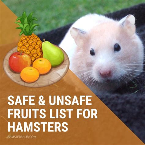 What fruits are bad for hamsters?