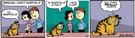What gender is Garfield?