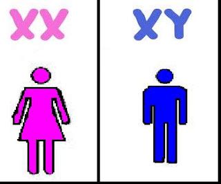 What gender is xx?