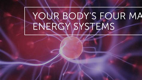 What generates human energy?