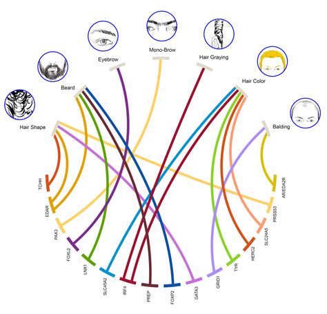 What genes have curly hair?