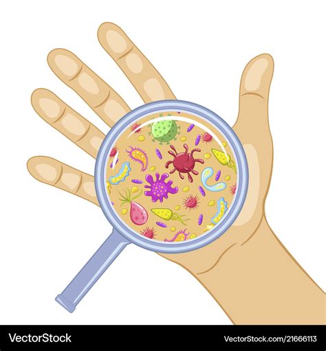 What germs are on your hands?