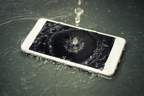 What gets damaged when a phone gets wet?