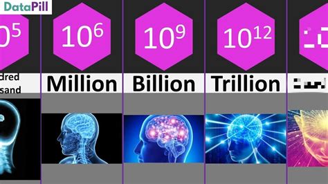 What goes after trillion?