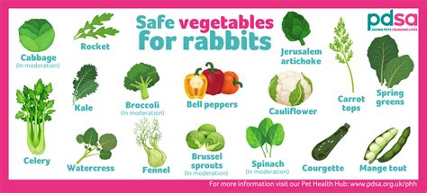 What greens can rabbits eat daily?