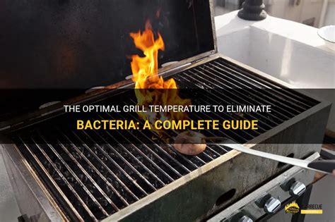 What grill temp kills bacteria?