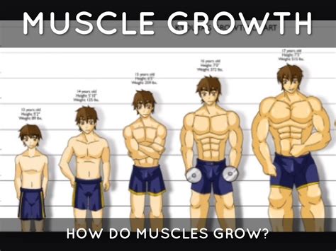 What grows muscle the fastest?