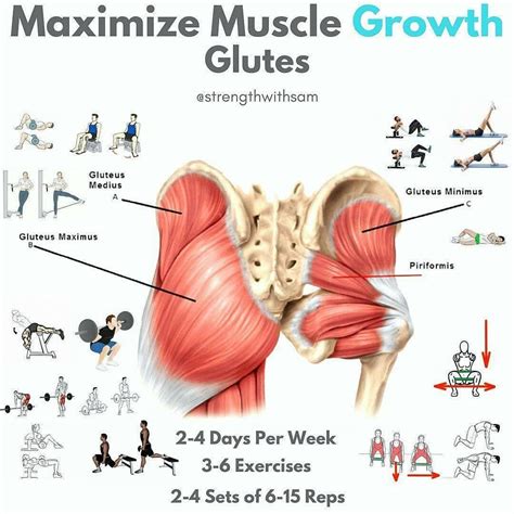 What grows the glutes the most?