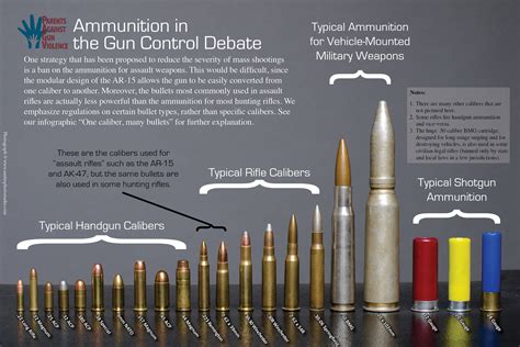 What guns have 12 rounds?