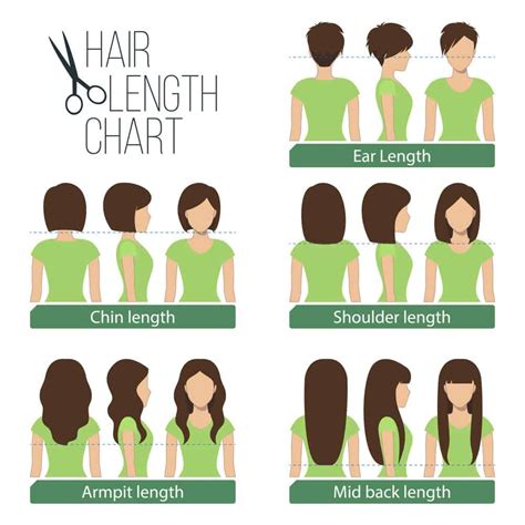 What hair length is most attractive?