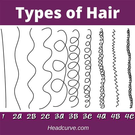 What hair type is most attractive?