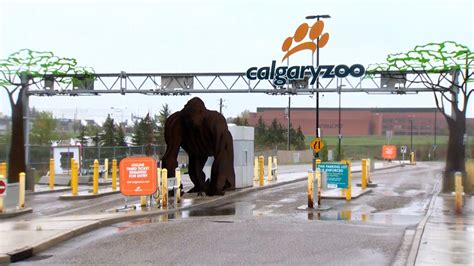 What happened at Calgary Zoo?