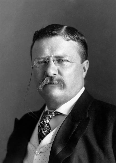 What happened to Theodore Roosevelt in 1901?
