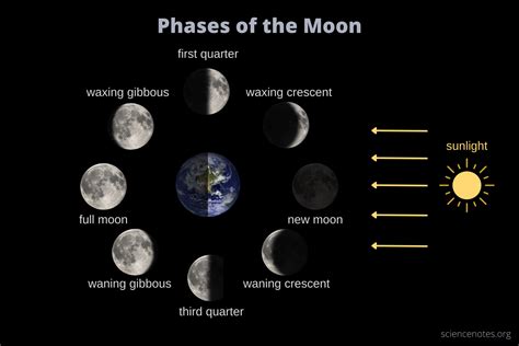 What happens 7 days after a new moon?