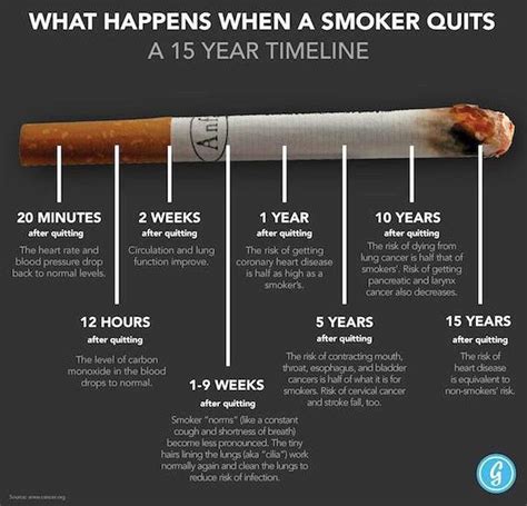 What happens after 15 years of quitting smoking?