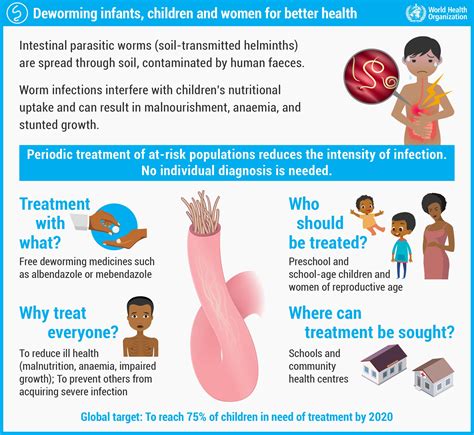 What happens after deworming in adults?