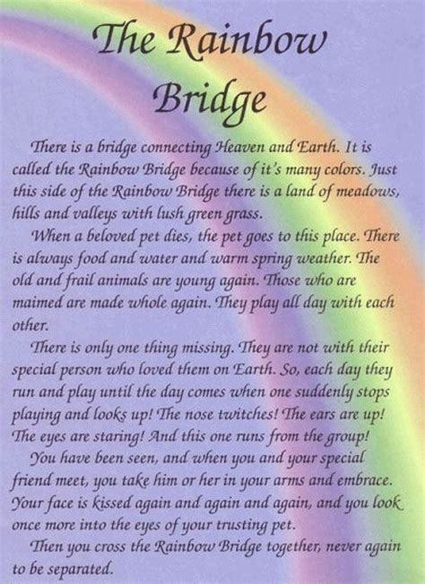 What happens at Rainbow Bridge?