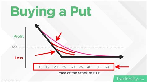 What happens if I buy 1 share of stock?