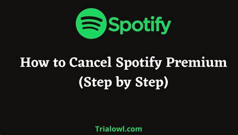 What happens if I cancel Spotify family?