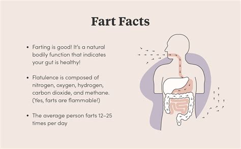 What happens if I don't let my fart out?