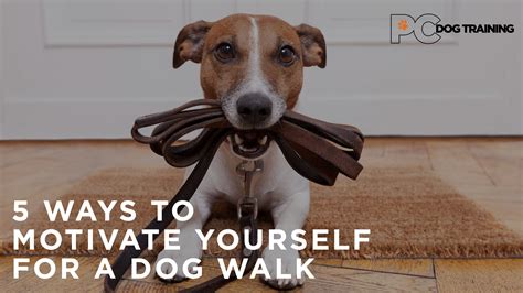 What happens if I don't walk my dog for one day?