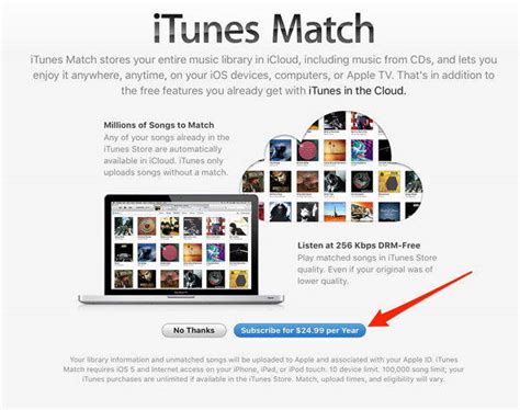 What happens if I remove iTunes Match?