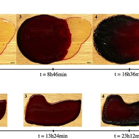 What happens if I touch dry blood?