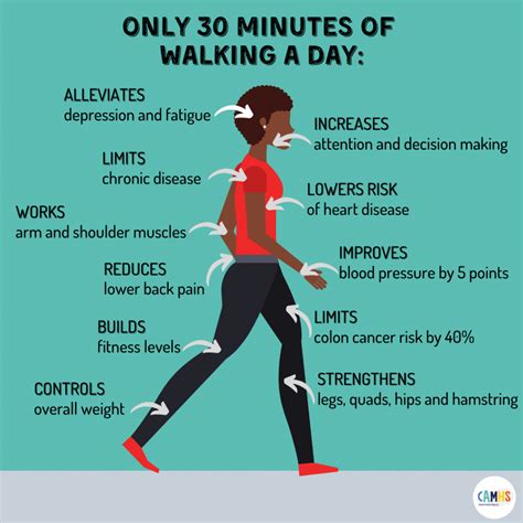 What happens if I walk 1 hour everyday?