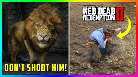 What happens if a Legendary Animal kills you?