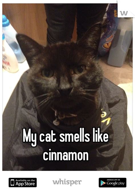 What happens if a cat smells cinnamon?