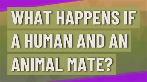 What happens if a human and animal mate?