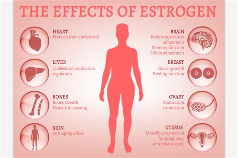 What happens if a male has too much female hormones?