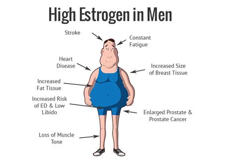 What happens if a man takes estrogen?