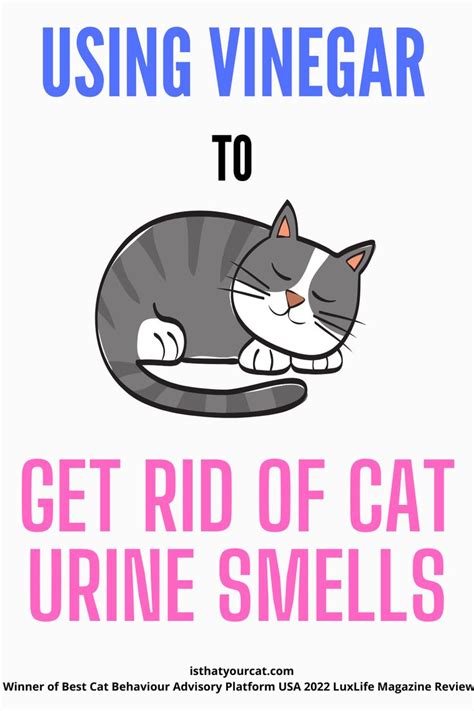 What happens if cats smell vinegar?