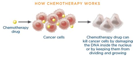 What happens if chemo stops working?