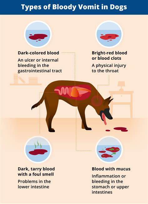 What happens if dogs smell blood?