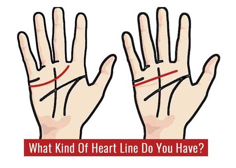 What happens if heart line is straight?