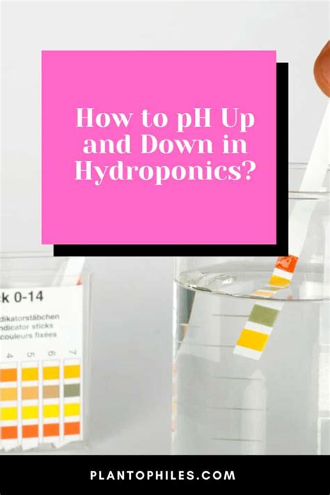 What happens if pH is too low in hydroponics?