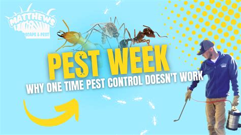 What happens if pest control doesn't work?
