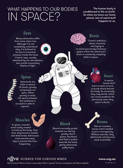 What happens if the human body is exposed to space?