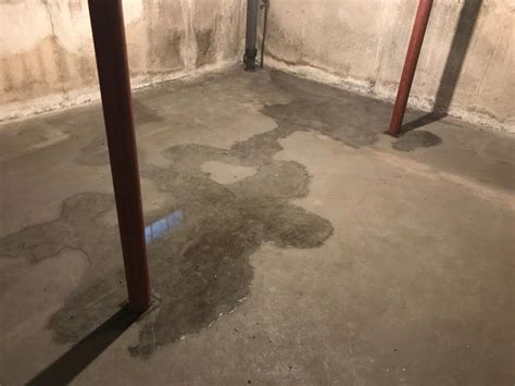 What happens if water comes up through basement floor?