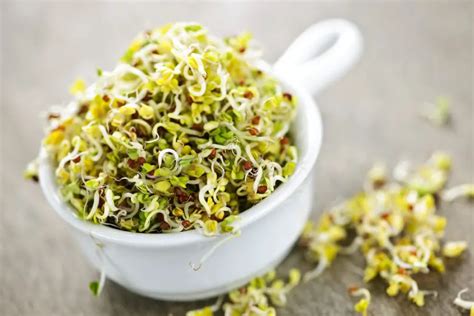 What happens if we eat sprouts daily?