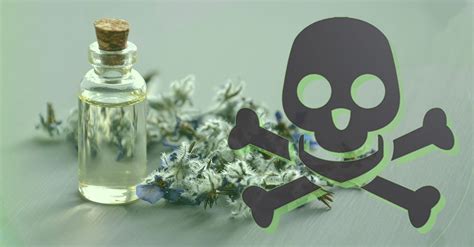 What happens if you accidentally eat essential oils?