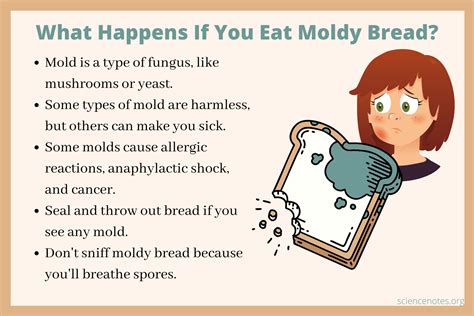 What happens if you accidentally eat moldy bread?