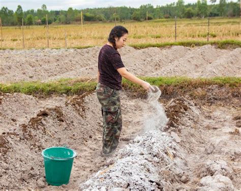 What happens if you add too much lime to soil?