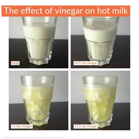 What happens if you add too much vinegar to milk?