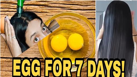 What happens if you apply egg in your hair?