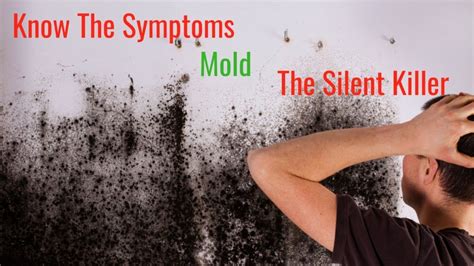What happens if you are exposed to black mold for years?